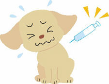 犬の病気の治療